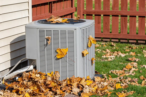 Best Air Filters and Purifiers in Virginia, MN